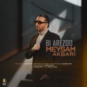 دانلود آهنگ جدید میثم اکبری بی آرزو